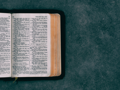 We're Back!!! Making Sense of the Bible Has Returned!